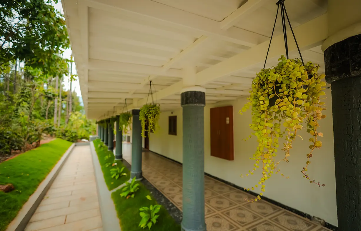 suite room 4